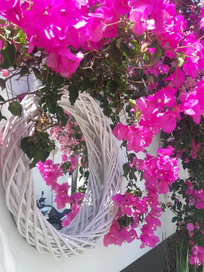 Doron Hotel Delfini Naxos City ภายนอก รูปภาพ