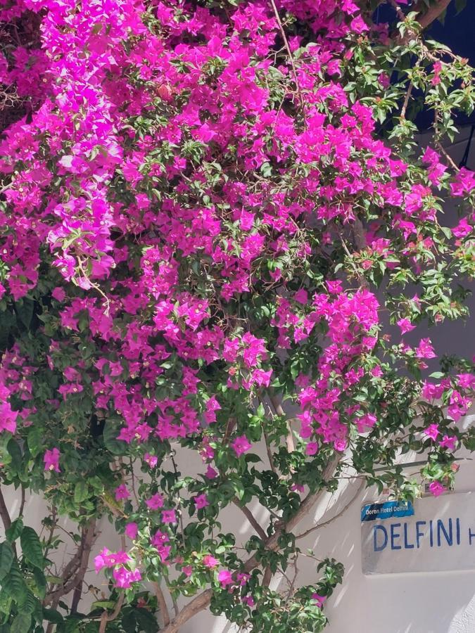 Doron Hotel Delfini Naxos City ภายนอก รูปภาพ