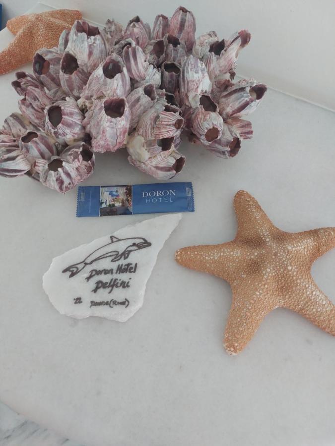 Doron Hotel Delfini Naxos City ภายนอก รูปภาพ