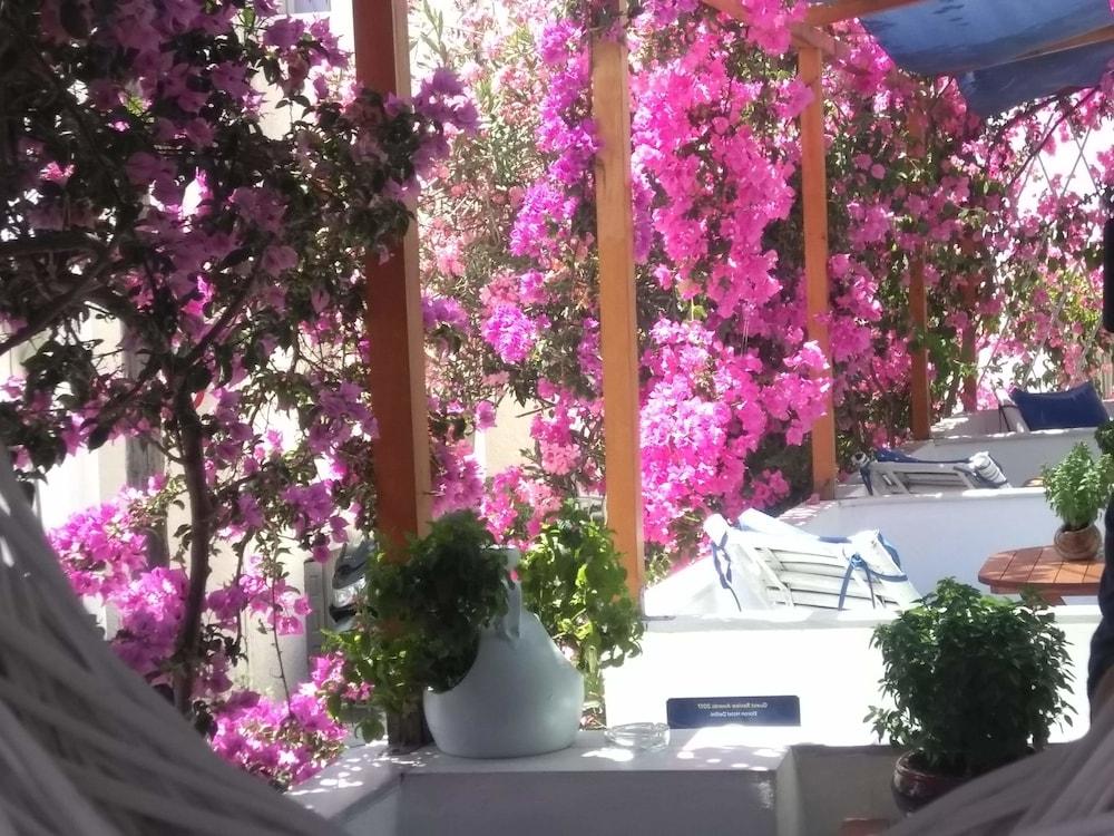 Doron Hotel Delfini Naxos City ภายนอก รูปภาพ