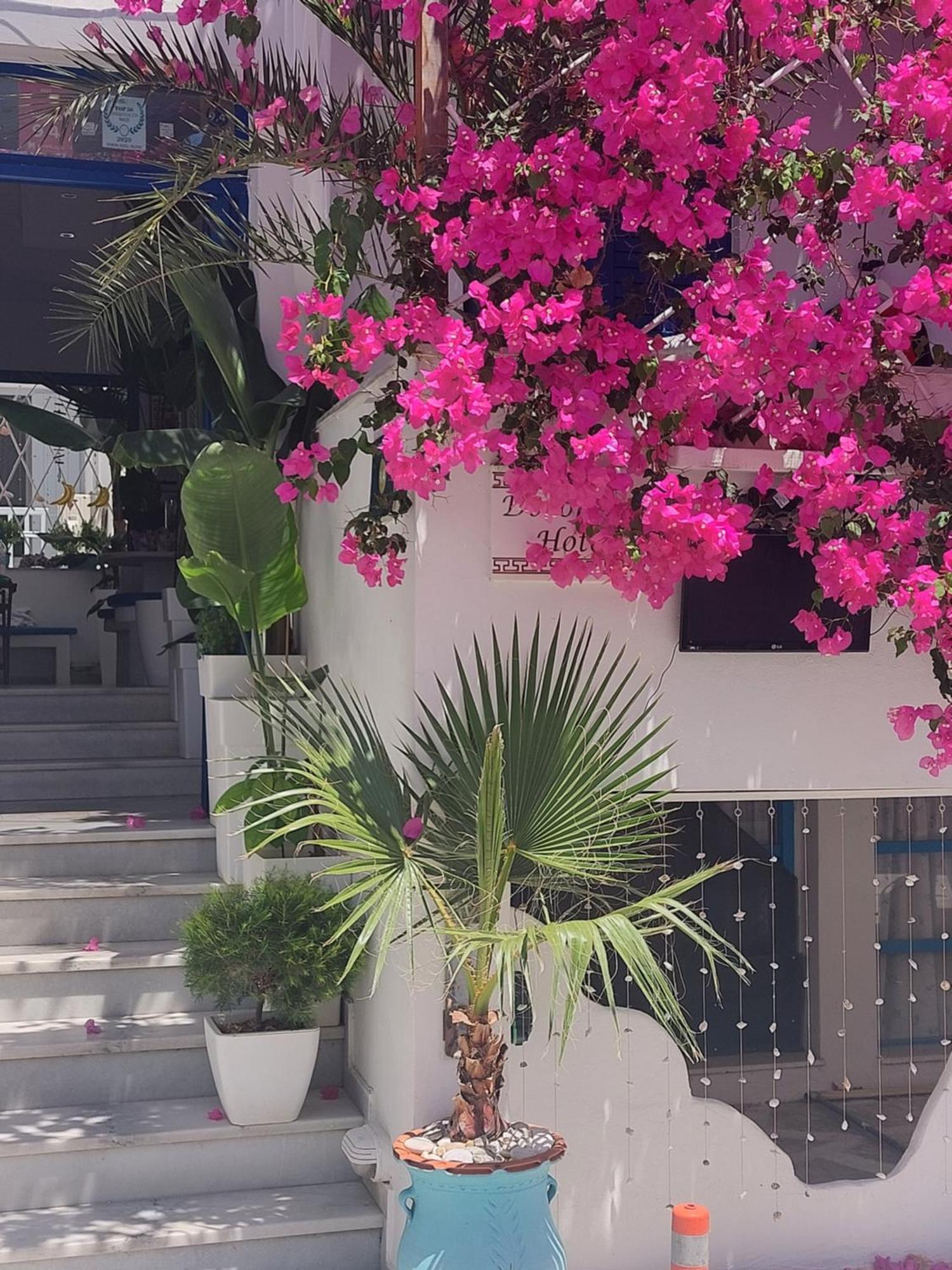 Doron Hotel Delfini Naxos City ภายนอก รูปภาพ