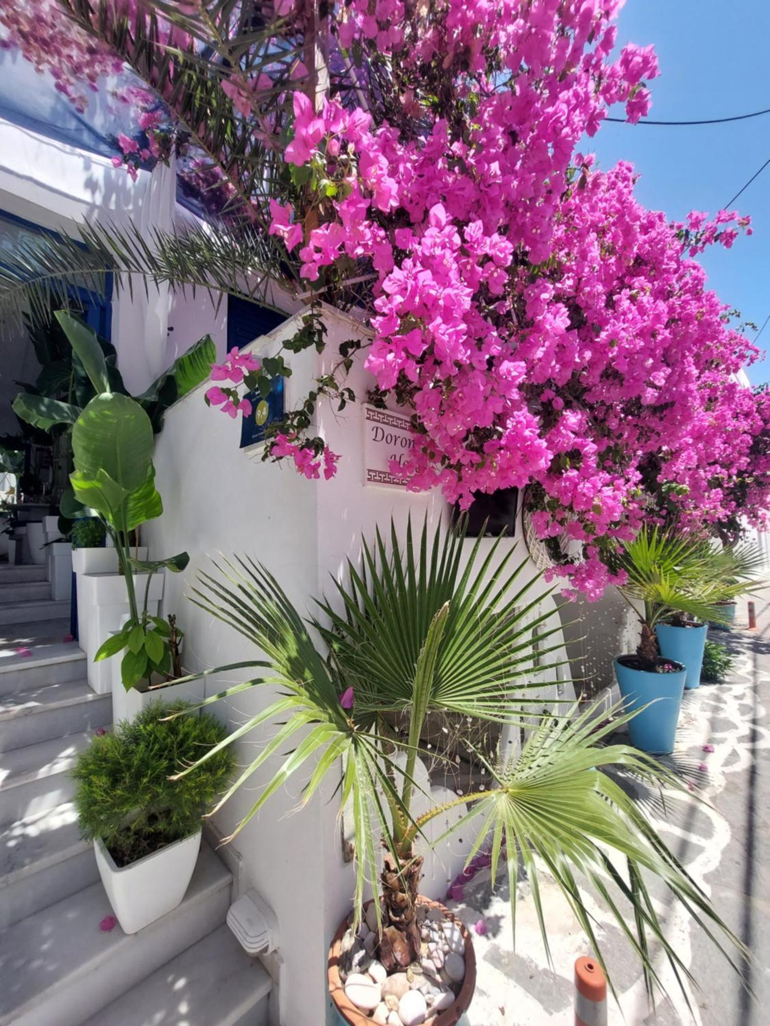 Doron Hotel Delfini Naxos City ภายนอก รูปภาพ