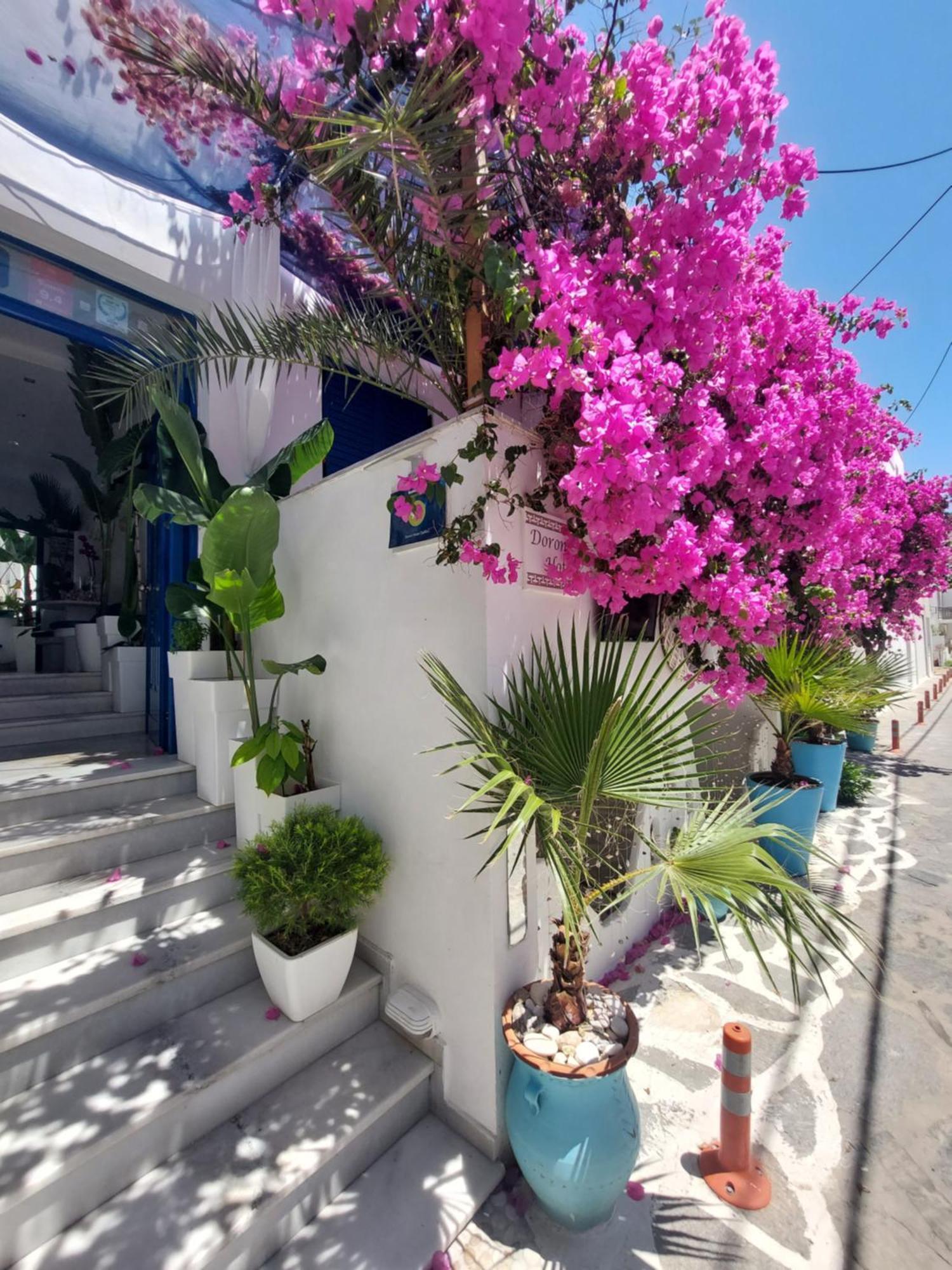 Doron Hotel Delfini Naxos City ภายนอก รูปภาพ
