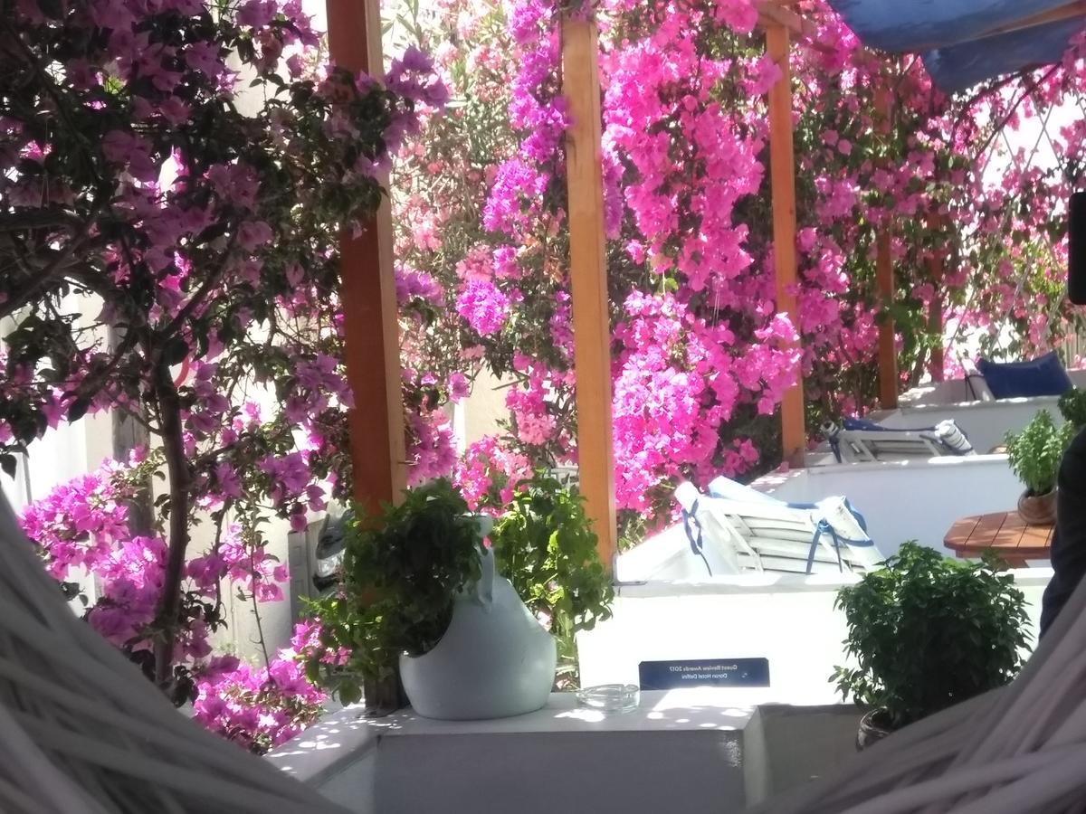 Doron Hotel Delfini Naxos City ภายนอก รูปภาพ
