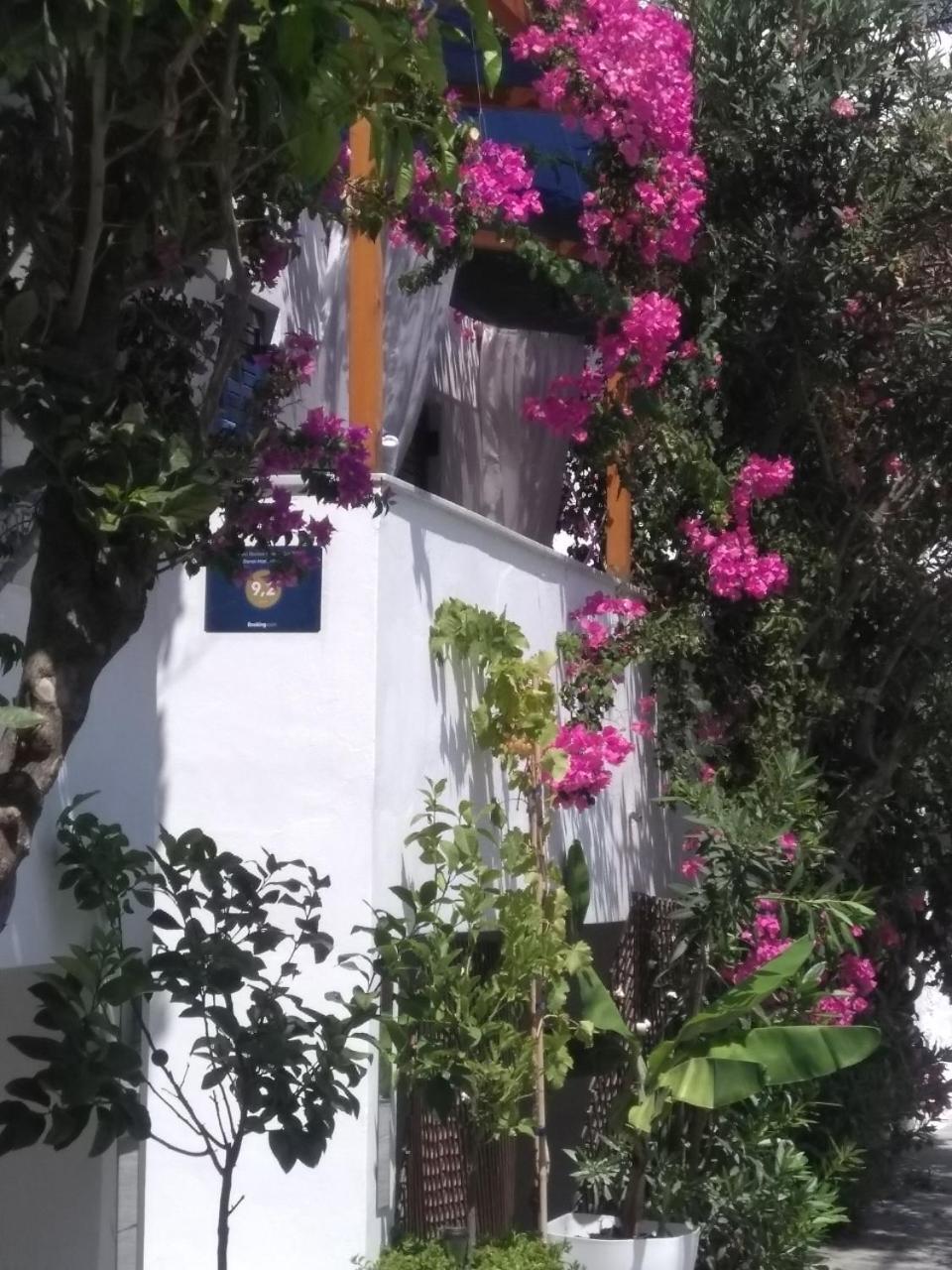Doron Hotel Delfini Naxos City ภายนอก รูปภาพ