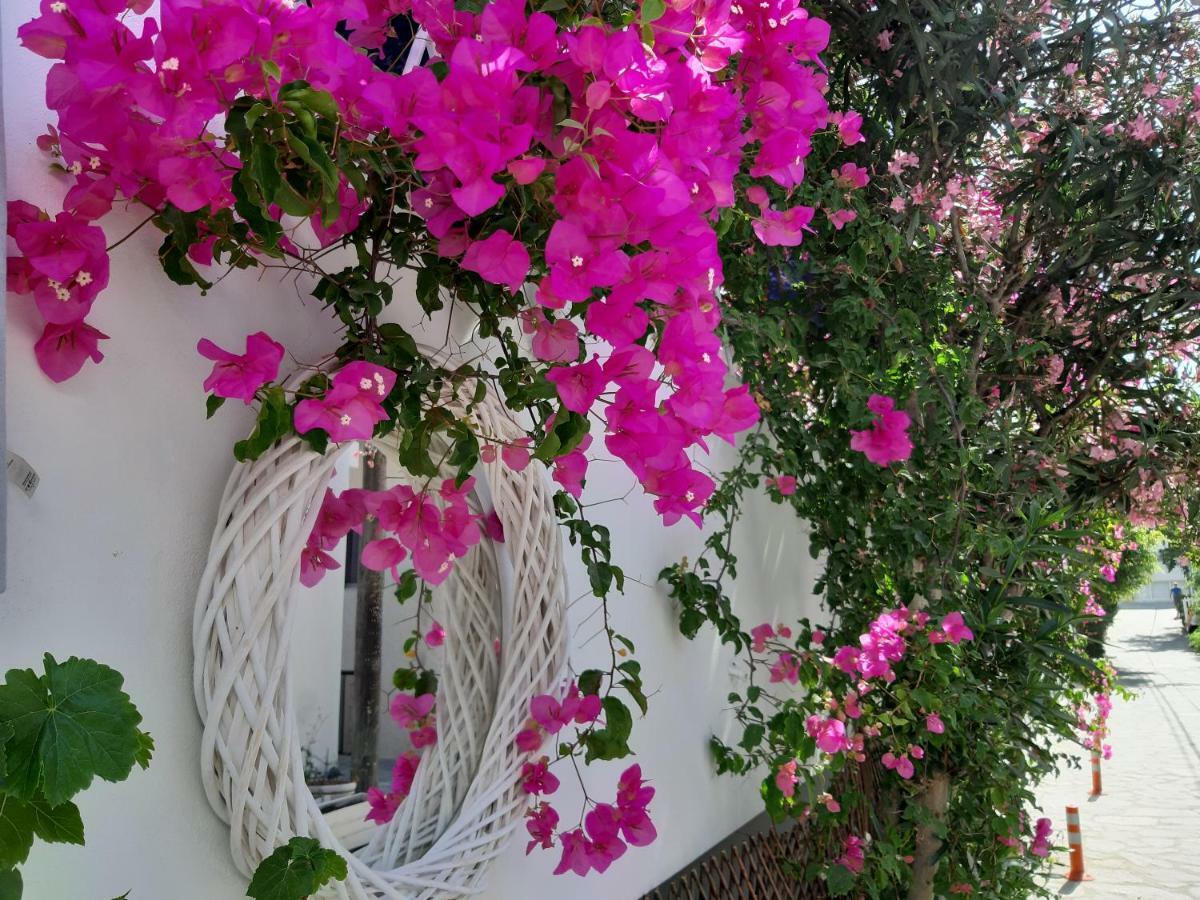Doron Hotel Delfini Naxos City ภายนอก รูปภาพ